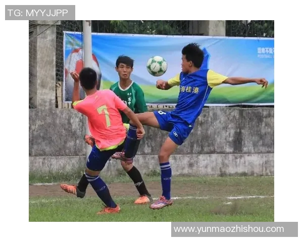 足球蓝牌的魅力解析与发展趋势探讨，助力青少年足球梦想成真