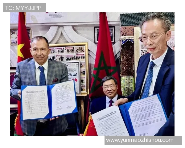 中国与土耳其的较量:文化交流与经济合作的新机遇与挑战 中国与土耳其的较量:文化交流与经济合作的新机遇与挑战