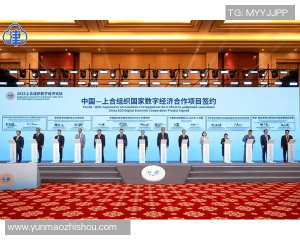 中国与土耳其的较量:文化交流与经济合作的新机遇与挑战 中国与土耳其的较量:文化交流与经济合作的新机遇与挑战