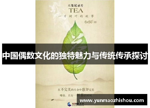 中国偶数文化的独特魅力与传统传承探讨