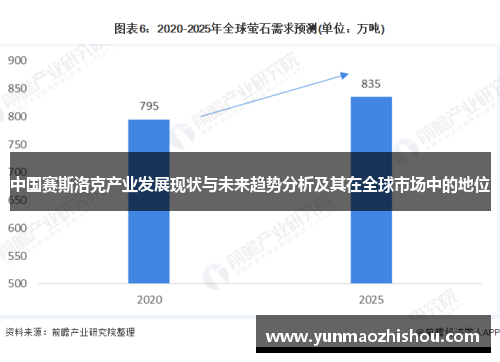 中国赛斯洛克产业发展现状与未来趋势分析及其在全球市场中的地位